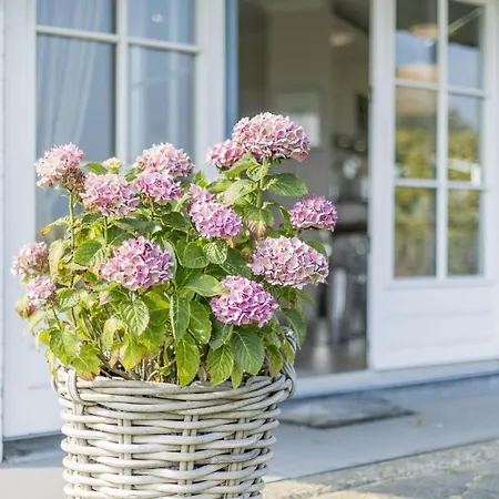 Alte Muehle Whg 12 Polo Διαμέρισμα Keitum